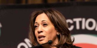 Kamala Harris' Immigration Strategy Team and Border Crisis Efforts