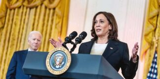 The 2024 Election: Inflation's Impact on Voter Priorities and Harris' Strategy