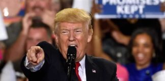 Unexpected Political Shift: Gabbard Supports Trump Over Harris for Surprising Reasons