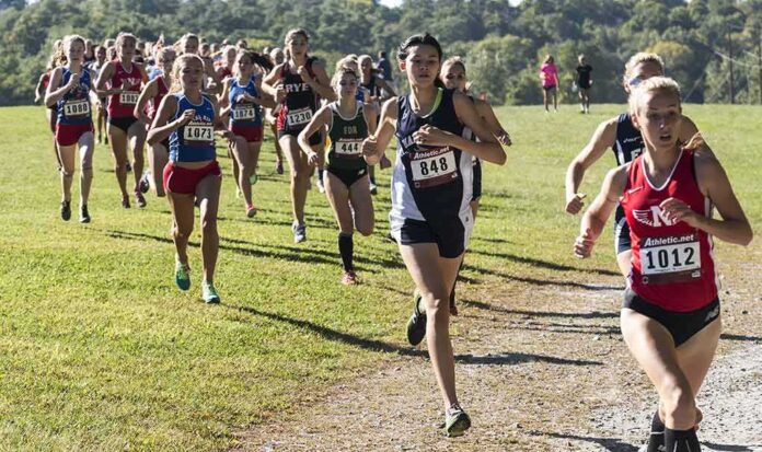 727030156 featured image Female athletes