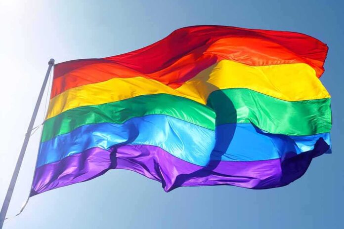 Gay flag