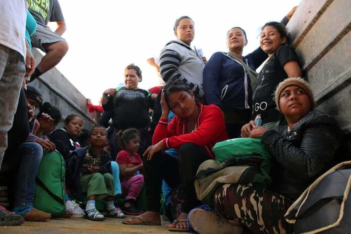 1245516541 featured image Migrants