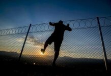 Illegal migrant