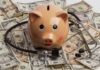 Money and piggy bank