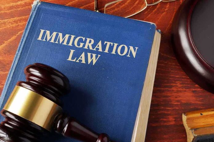 525426433 featured image Blue book titled Immigration Law with gavel nearby