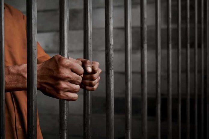 772489252 featured image Prisoner