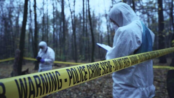 2453060271 featured image Crime scene in forest with investigators wearing suits