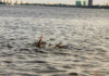 Person's hand reaching out from the water
