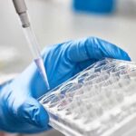 Explosive Memo Sparks Vaccine Power Struggle Gloved hand pipetting liquid into a tray