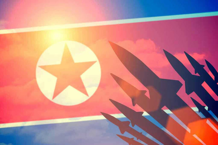 North Korean flag with missile silhouettes.