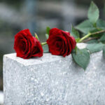 JFK Granddaughter Dies – Family Curse Strikes Again Red roses on a gray stone surface.