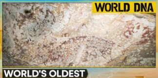 68,000 Year-Old Handprint DESTROYS Everything Scientists Believed