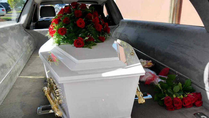 687733453 White coffin with red roses inside a hearse.