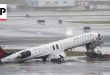 Air Traffic Controller ADMITS Blame After Deadly Runway Crash