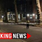 Driver Rams Into 20 Victims - Vicious ATTACK