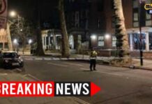 Driver Rams Into 20 Victims - Vicious ATTACK