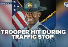 Trooper CRUSHED In Highway Horror After Pulling Over Car