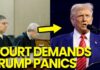 Supreme Court PANIC: Trump Eyes NEXT Apointee