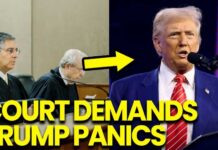 Supreme Court PANIC: Trump Eyes NEXT Apointee