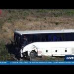 Non-English ILLEGAL Murders 5, Injures 34 In Bus Crash!
