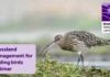 Grassland Management for wading birds