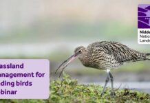 Grassland Management for wading birds