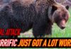 Hiker Survives Intense Grizzly Attack!
