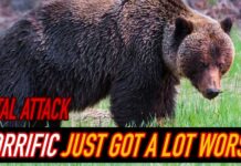 Hiker Survives Intense Grizzly Attack!
