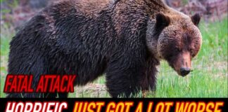 Hiker Survives Intense Grizzly Attack!