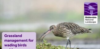 Grassland Management for wading birds
