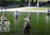 Reflecting Pool turns green after millions poured into renovations