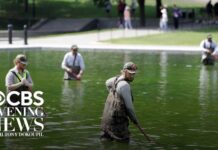 Reflecting Pool turns green after millions poured into renovations