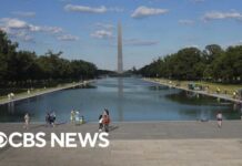 SERIOUS Charges Await Lincoln Memorial Vandals Timeline of Lincoln Memorial Reflecting Pool issues amid Trump makeover
