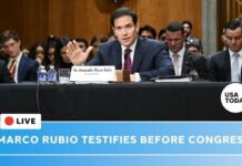Rubio Draws The Line During FIERY House Testimony!