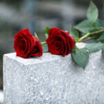 Hollywood Icon DIES Suddenly – Family Denies Rumor Red roses on a gray stone surface.