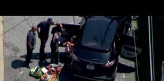 Police say kidnapping of Atlanta children was year in the making by babysitter with complicated past