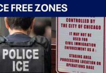 Blue-City Mayor BRAGS About Protecting Illegals Over Americans Brandon Johnson announces new ICE-free zones in Chicago