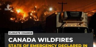 Canada wildfire: 20,000 evacuated as fast-moving blaze spreads in British Columbia