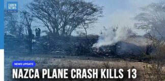 Plane Crash Near Peru's Nazca Lines Kills 13, Including 11 European Tourists | Dawn News English