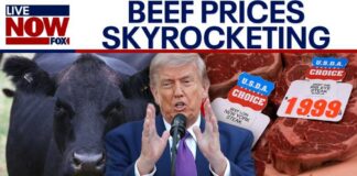 Trump admin grilled over beef prices as costs skyrocket