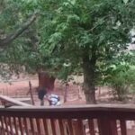 Tourist attacked on Havasupai reservation trail by convicted felon