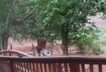 Tourist attacked on Havasupai reservation trail by convicted felon