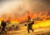 🚨 Wildfire Enters Spokane — VA Hospital Evacuating Patients, National Guard Deployed