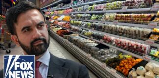 NYC grocery owners FIGHT BACK against city-run store plan