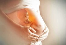 Researcher Admits Using Fetus Parts in Vaccines! Pregnant belly with illustration of fetus inside
