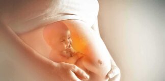 Pregnant belly with illustration of fetus inside