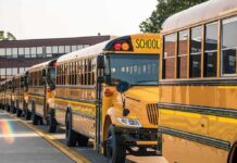 Row of yellow school buses parked outside a brick school
