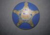 Secret Service Purge Stuns D.C After Security Leak! United States Secret Service badge emblem on blue background