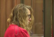 Another Mother Kills Her Kids Attorney for Wellesley mother accused of killing her 2 children asks for case to be dismissed