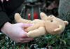 Shocking Ruling: Disabled Toddler Given Death Sentence Hands holding a teddy bear near a grave